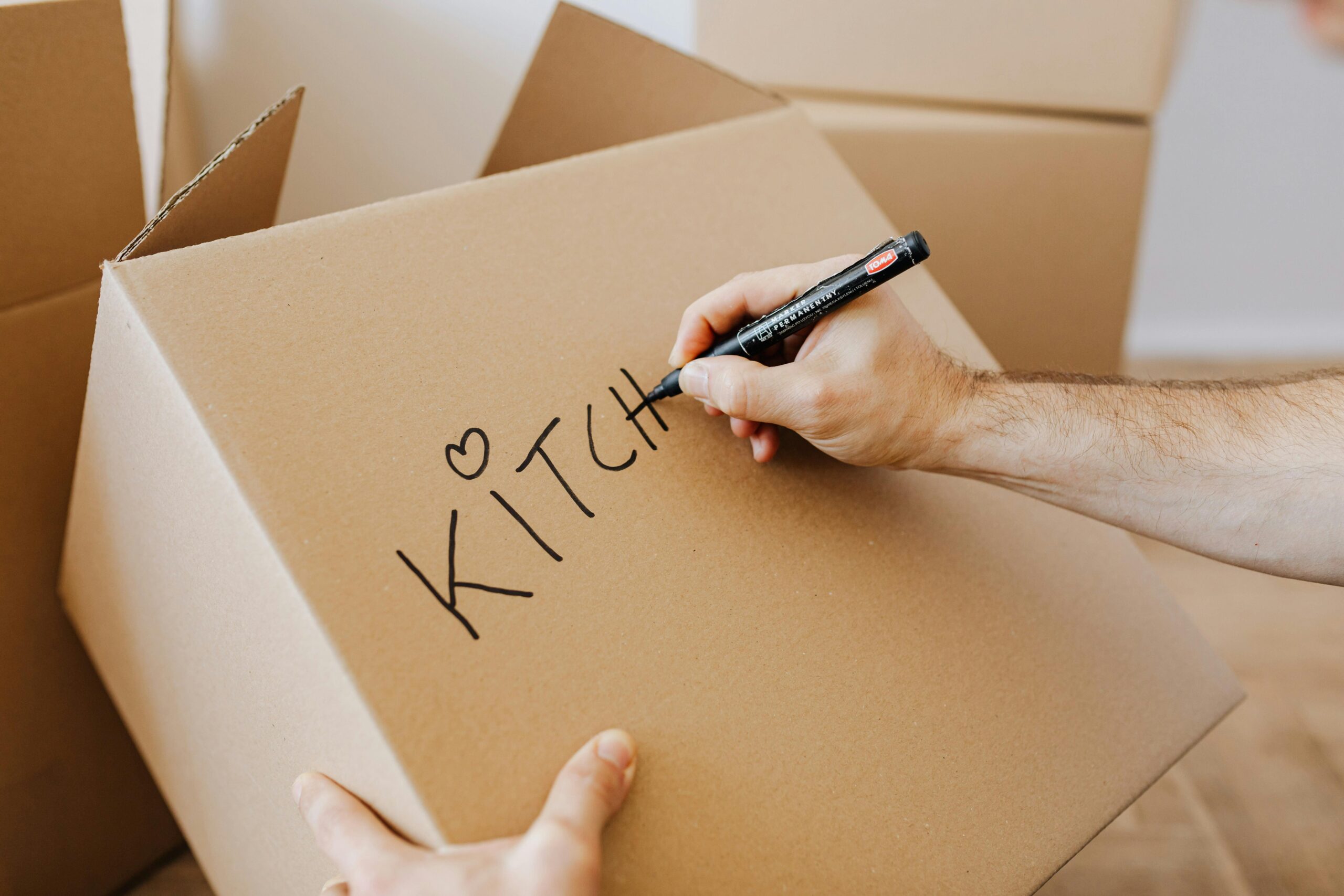 Kostenloses Stock Foto zu action, aktion, auspacken