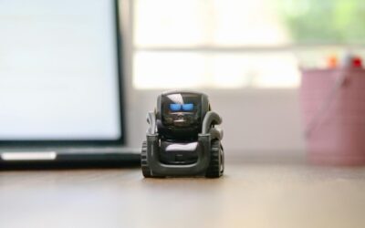 Einführung in Künstliche Intelligenz: Grundlagen und Anwendungen